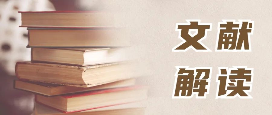 【文献解读】用三维流体力学模型模拟研究HIPEC期间药物渗透的影响因素